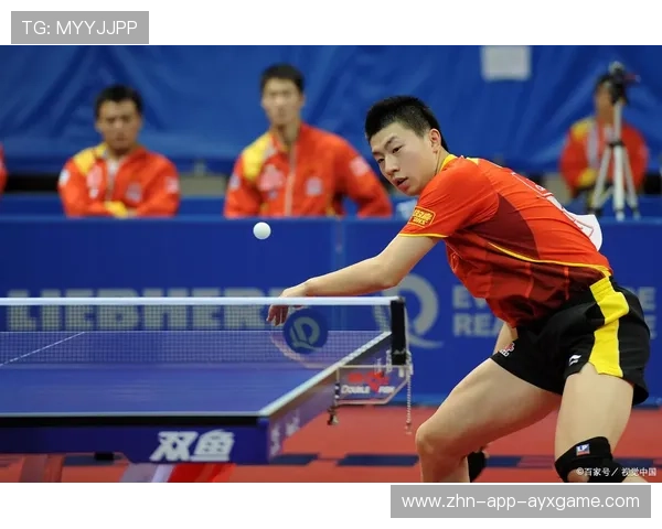 太阳团队在比赛最后阶段完成逆转胜出 太阳团队在比赛最后阶段完成逆转胜出